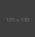 飞网ip